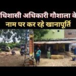 Hardoi News: अधिशासी अधिकारी गौशाला के नाम पर कर रहे खानापूर्ति