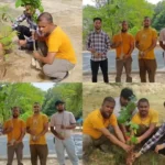 Hardoi News: विश्व पर्यावरण दिवस पर संस्था द्वारा लगाए गए पौधे