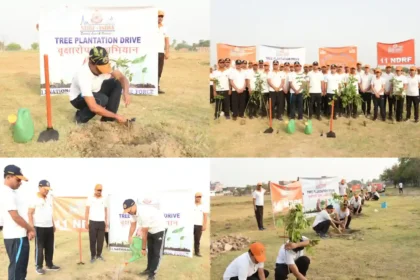 Varanasi News: एनडीआरएफ ने चलाया वृहद वृक्षारोपण अभियान