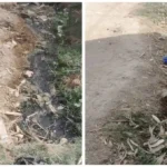 Hardoi News: ग्राम पंचायत हर्रई में महीनों से नही हुई सफ़ाई, बजबजा रहीं नालियां सफाई कर्मी नदारत