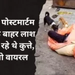 झांसी में पोस्टमार्टम हाउस के बाहर लाश को नोंच रहे थे कुत्ते, वीडियो बनाने वाला आया सामने
