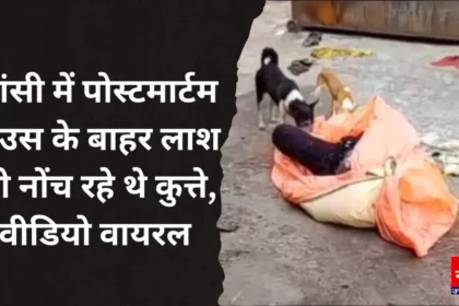 झांसी में पोस्टमार्टम हाउस के बाहर लाश को नोंच रहे थे कुत्ते, वीडियो बनाने वाला आया सामने