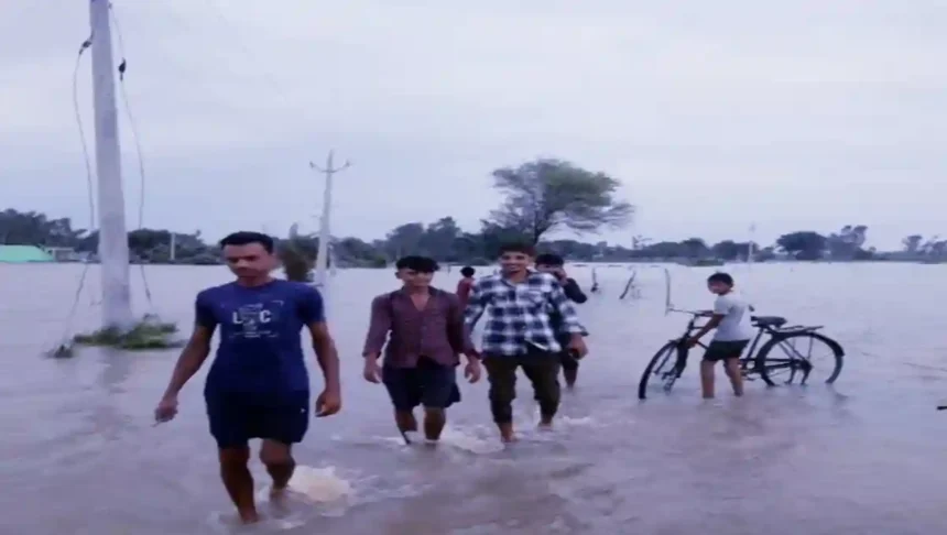 Shahjahanpur: ददरौल क्षेत्र के दर्जनों गांवों में भरा बाढ़ का पानी, सैकड़ों बीघा फसलें हुई जलमग्न