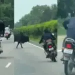 एक शख्स ने मासूम बच्चे को बाइक पर बैठाकर किया खतरनाक स्टंट, देखें वायरल वीडियो