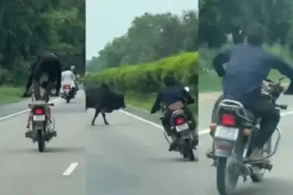 एक शख्स ने मासूम बच्चे को बाइक पर बैठाकर किया खतरनाक स्टंट, देखें वायरल वीडियो