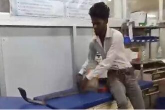 बहराइच में सांप लेकर अस्पताल पहुंचा युवक, डॉक्टरों से कहा-यही है जिसने मुझे काटा, सभी हैरान