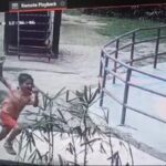 ग्रेटर नोएडा की एक सोसायटी के पार्क में 8 साल के मासूम को स्ट्रीट डॉग ने काटा