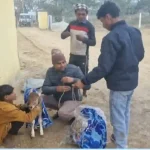 Hardoi News: गौसेवा के भाव के साथ गोवंश संरक्षण के मिले अच्छे परिणामः- जिलाधिकारी