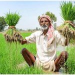 Hardoi News: कृषक अंश की अवशेष धनराशि 06 जनवरी तक जमा करेः- उपनिदेशक