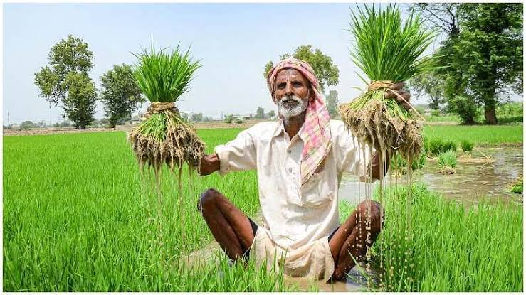 Hardoi News: कृषक अंश की अवशेष धनराशि 06 जनवरी तक जमा करेः- उपनिदेशक