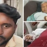 जालौन में अंतिम संस्कार यात्रा पर मधुमक्खियों का हमला, 50 से ज्यादा लोग घायल