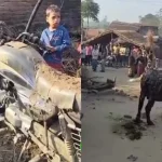Hardoi News: अज्ञात कारणों से लगी आग, भैंस व मोटर साइकिल जलकर खाक, प्रशासन ने नहीं ली सुध