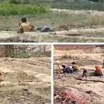 Hardoi News: वन विभाग की नर्सरी में बच्चों से कराई जा रही मजदूरी, वीडियो वायरल