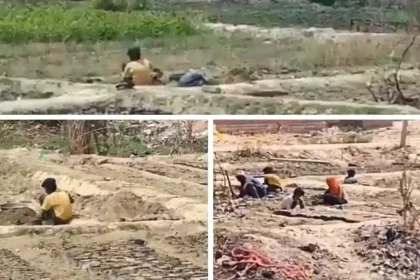 Hardoi News: वन विभाग की नर्सरी में बच्चों से कराई जा रही मजदूरी, वीडियो वायरल