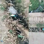 Hardoi News: रावल गाँव मे सफ़ाई कर्मी की शिथिलता से कीचड़ से भरी नालियां।