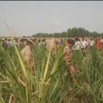 Hardoi News: दो दिन से लापता अधेड़ ग्रामीण का कौहरिया गांव के गन्ने के खेत में मिला शव, हड़कंप मचा, हत्या की आशंका